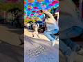 When the cameraman joins the dance:🔥This moment is a must-see! #trending #funny #shorts #viralvideo