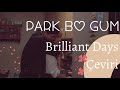 [Türkçe] Park Bo Gum - Brilliant Days Çeviri / Record of Youth FMV