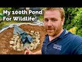 Making My 100th Pond For Wildlife