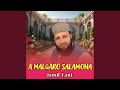 A Malgaro Salamona 