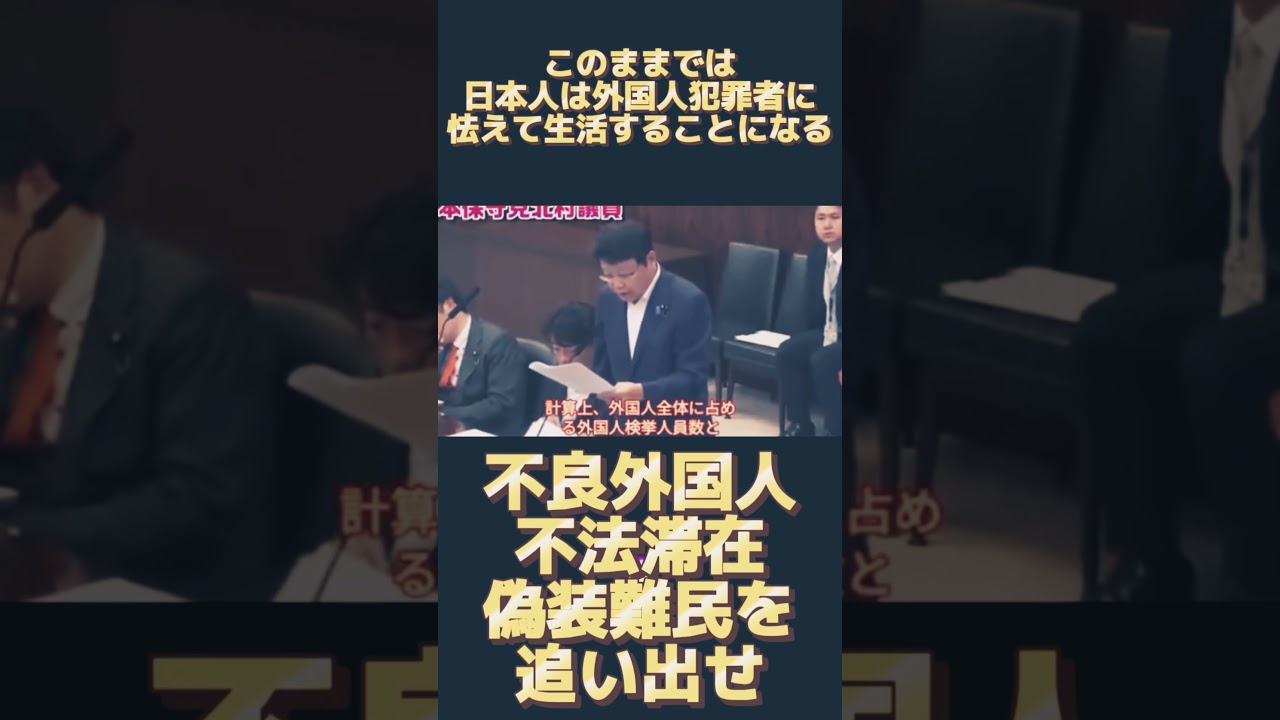 このままでは日本が外国人犯罪者の天国になる近未来 #不法滞在 #偽装難民