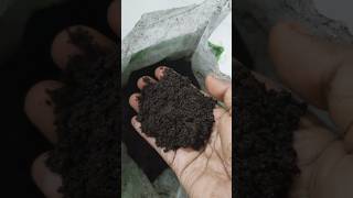 Unboxing Trust Basket Vermicompost From Amazon