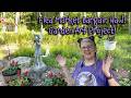 FLEA MARKET BARGAIN FINDS, HAPPY MAIL, GARDEN ART PROJECT! Vlog: Part 2