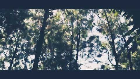 BCL & ARIEL NOAH - MENGHAPUS JEJAKMU ( Vidio Clip )