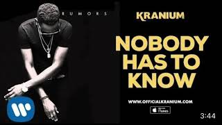 Kranium- Nobody has to know fast