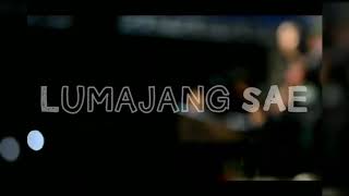 Lumajang Sae - Lagu Lumajang sae i like lumajang