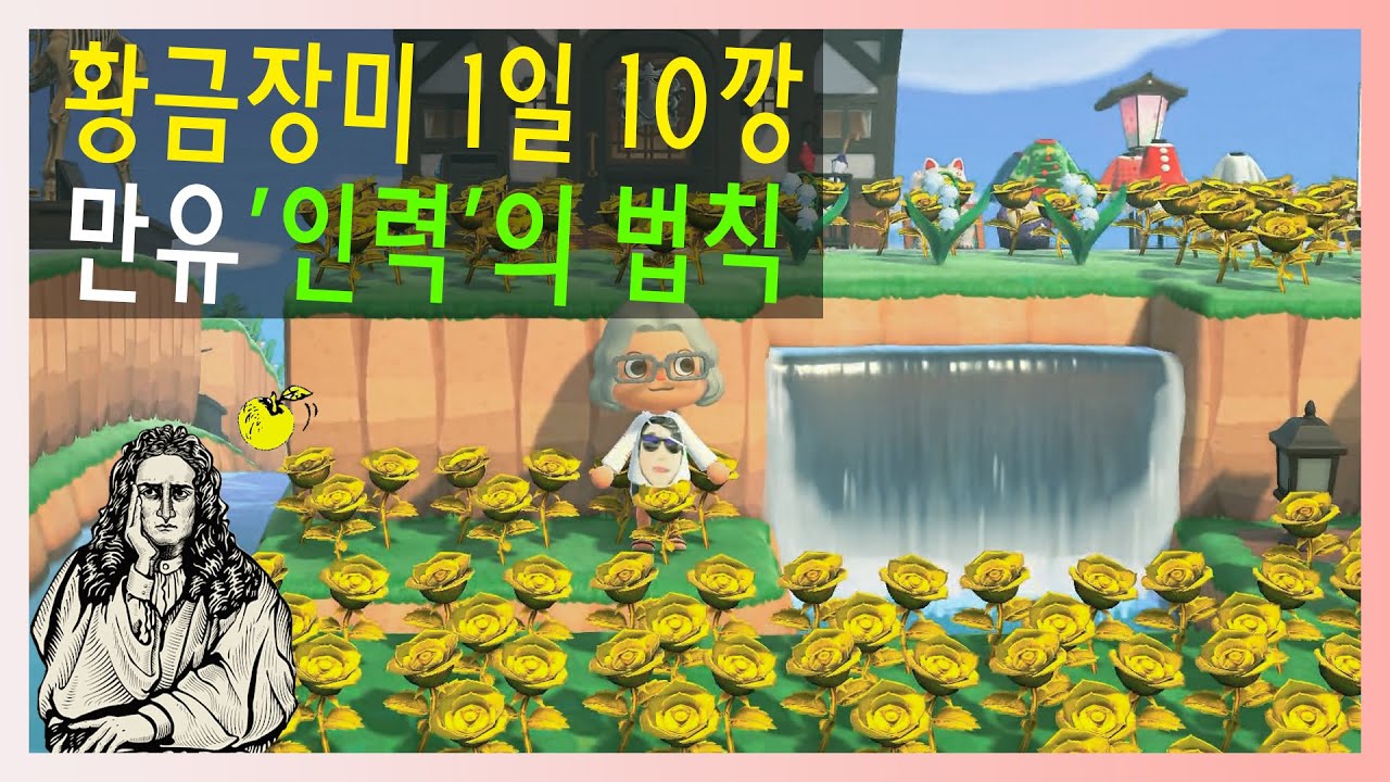 모동숲 교배꽃 초보 꿀팁영상 금장미 1일 1깡?? 1일 10깡 어렵지 않아요 !!!! - YouTube 모동숲 교배꽃 초보 꿀팁영상 금장미 1일 1깡?? 1일 10깡 어렵지 않아요 !!!! - Youtube