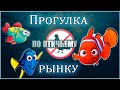 Птичий рынок Санкт-Петербург. Полюостровский (Кондратьевский) рынок 17.04.2021