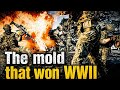 The Mold That Saved Millions | The Accidental Discovery of Penicillin