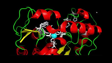 PAH Protein Structure - Pymol BMS2062 Nat Tsiang