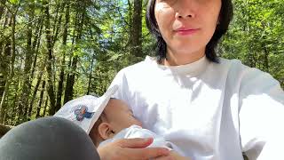 Weekend Vlog | Get lunch at Dairy Queen  | Go on a hike at Lynn Canyon Park in North Vancouver