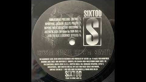Sixtoo - Crystal Senate 12" - 05 Live to D.A.T. (Science Styles)