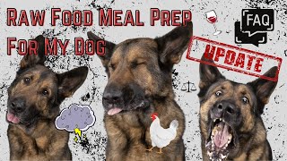 Balanced Raw Dog Food Diet Made Easy | Not Perfect But Still Pretty Good | Answering Your Questions