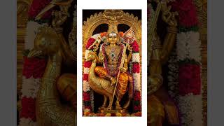 Jai Shri Murugan Swamy 🙏🏻🔱#murugan #swamy