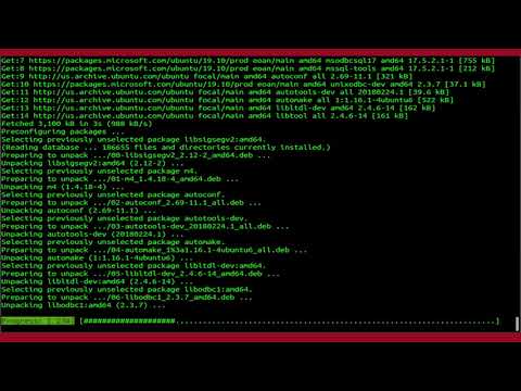 How To Run SQL Server Container images with Docker On Ubuntu 20.04 LTS