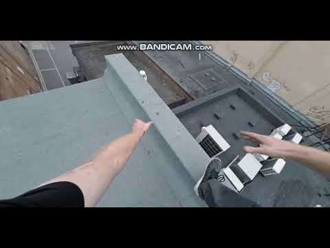 ზომბები vs პარკურისტი