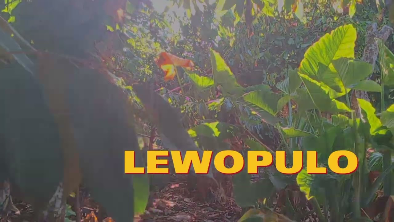 cinematic lokalpride🌴