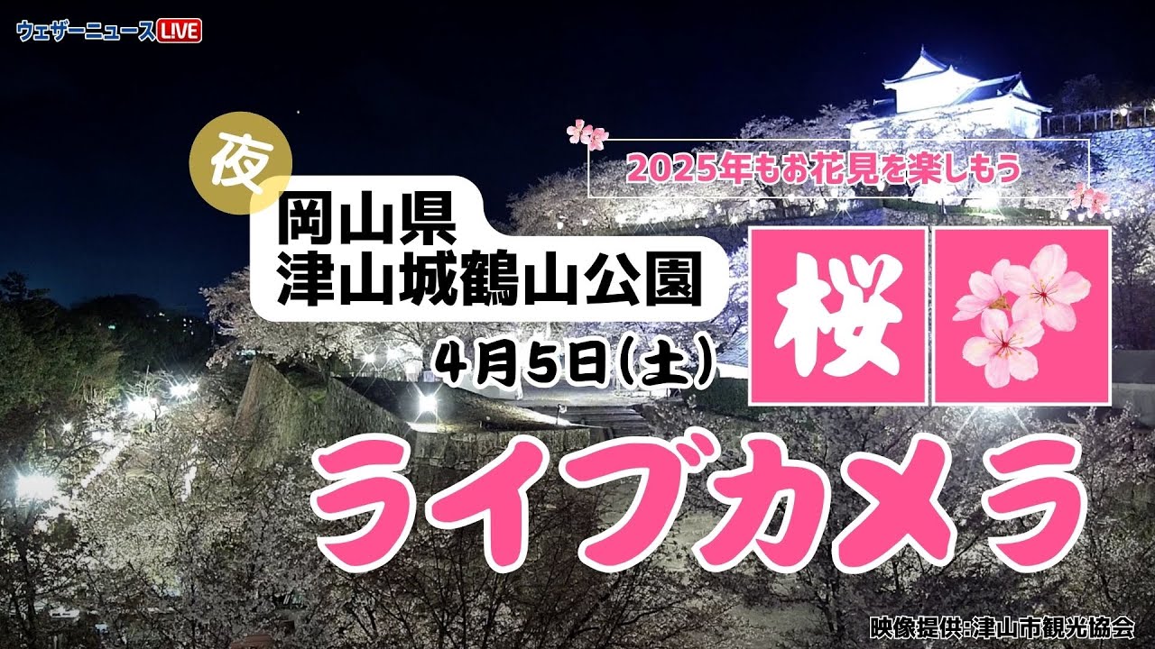 夜桜ライブカメラ】ソメイヨシノ／「岡山県・津山城鶴山公園」ライブ