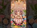 Shree Ganesh Aarti -By Rahul Vaidya 🙏🌺#shortvideo #shorts #ganesh #status #viral #youtubeshorts #yt