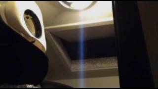 Black Christmas Full Trailer