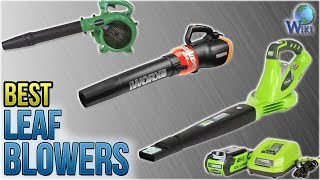 10 Best Leaf Blowers 2018