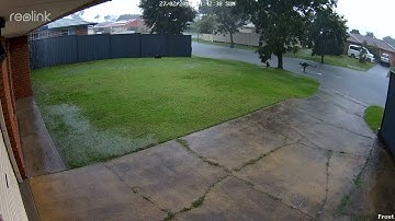 Reolink Captures A Kangaroo in the Rain 4K
