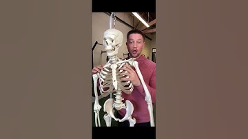 How To Fix Uneven Shoulders - In 20 Seconds!! #posture #posturecorrection #shoulderpain
