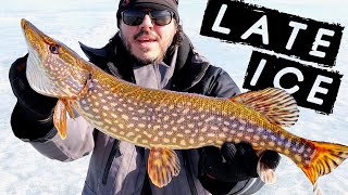 LATE ICE fishing with so many SCUD (Twin Valley Reservoir)