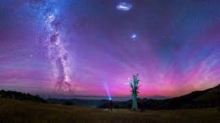 Artemis - Elysian Fields
