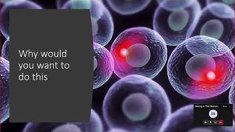 PhD Talk: Semiconductor Nanolasers in Living Cells