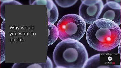 PhD Talk: Semiconductor Nanolasers in Living Cells