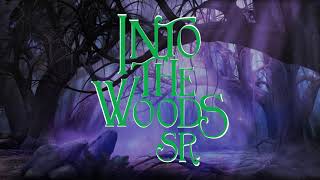 Into the Woods Sr Scenic Projections | Broadway Media