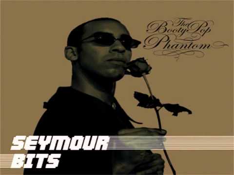 Seymour Bits — 06. Seymour Bits - You Must Be The Bass