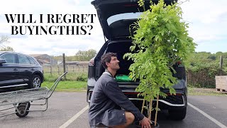 THE FRONT OF OUR HOME IS DONE & BUYING A WISTERIA PLANT | VLOG