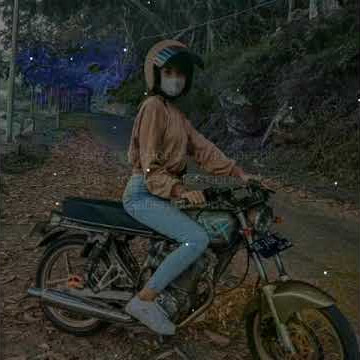 story' wa cb gl mp Tiger galau bikin baper terbaru || 2021