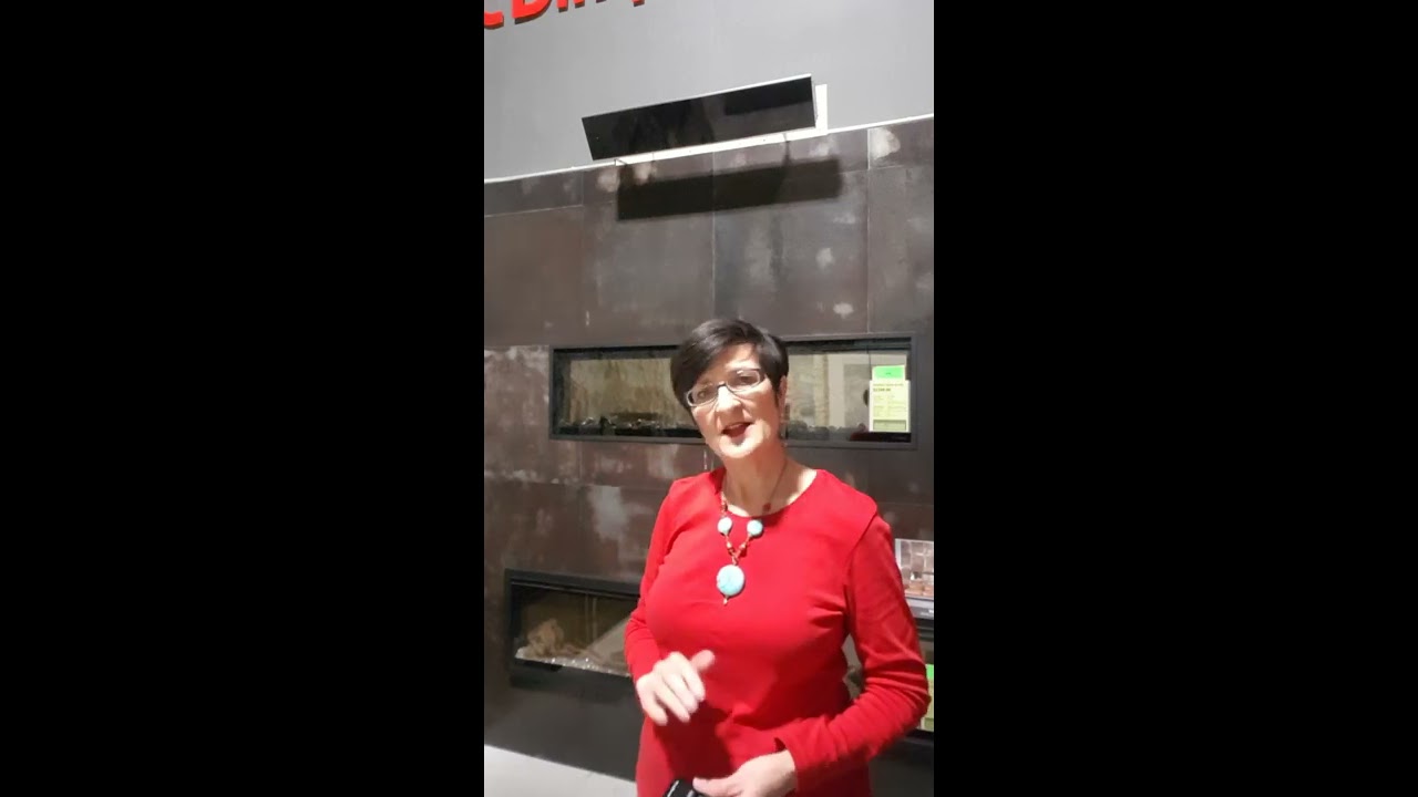 Dimplex DIR Indoor-outdoor infrared heaters 