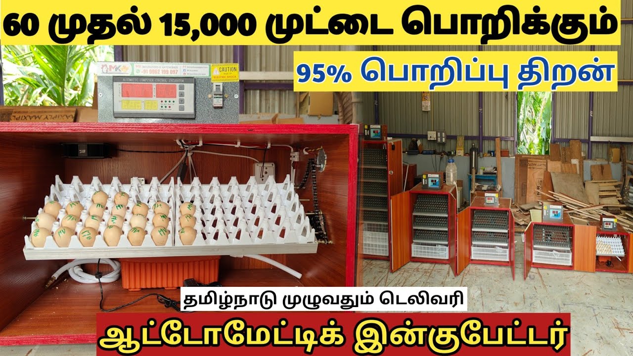 மிகக் குறைந்த விலையில் 💸 தரமான, ஆட்டோமேட்டிக்  இன்குபேட்டர் 🐣 🤩 || MK Incubator