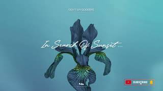Inktone - Don't Say Goodbye | In Search Of Sunset