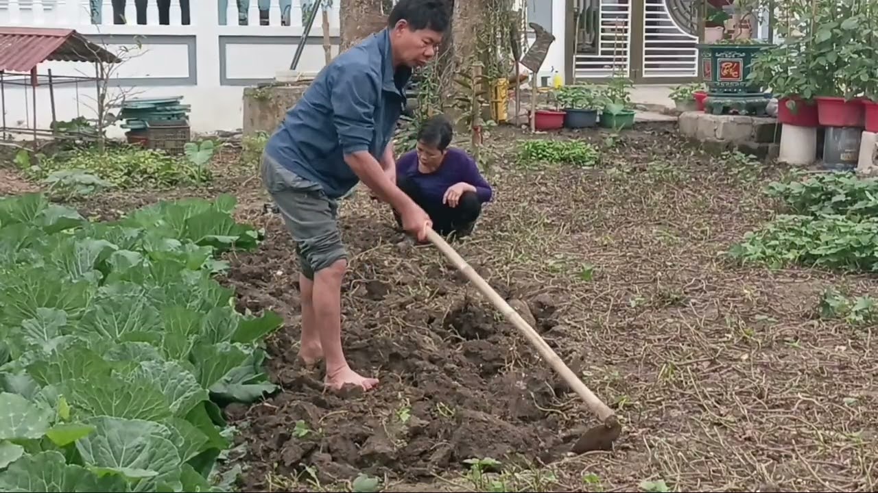 ​Slow Living Vietnam: Old Couple’s Dream Garden & Peaceful Countryside House