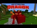 Minecraft - HOW TO TRAIN YOUR DRAGON - Dragon Statue! [14]