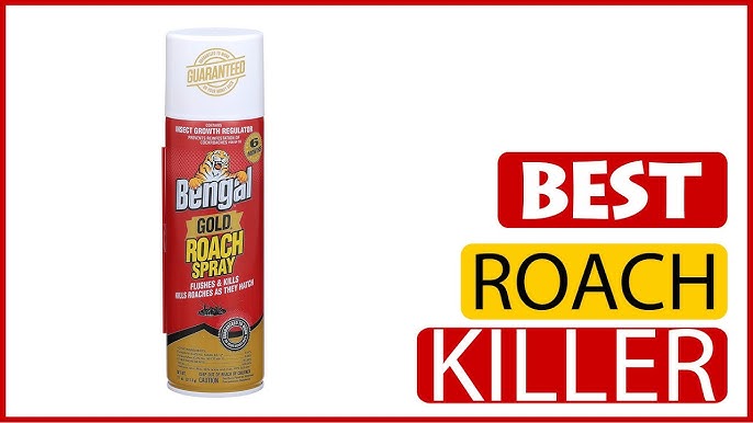 Consumer Reports Best Roach Killer : The Top 5 