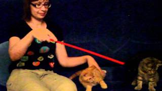 DSCF2998.AVI