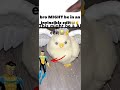 Bro, I think this might be a AI edit
