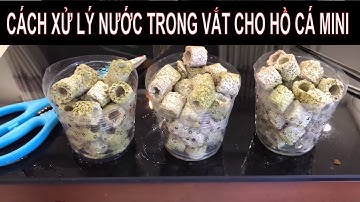 Chế bộ lọc [ Ngon Bổ Rẻ ] xử lý nước cực kỳ hiệu quả cho hồ cá cỡ nhỏ