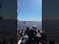 Of Course the Camera Caught It