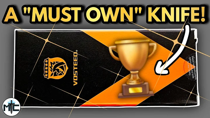 THE NEXT KING OF BUDGET KNIVES? Vosteed CANNOT LOSE With This Design! (NEW TOP LINER LOCK)