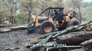 Abattage : du bûcheron au grumier (Vosges 2021) 🌲🚜🚚🇨🇵