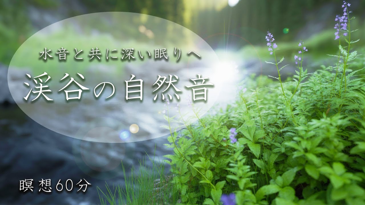【心が癒されるリラックス音楽】癒しのBGMと爽やかな新緑（鳥のさえずり、川のせせらぎ） - YouTube