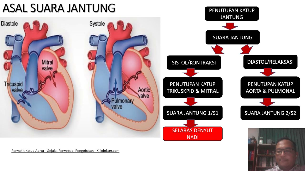 MUDAH MEMAHAMI AUSKULTASI JANTUNG/ SUARA JANTUNG NORMAL/ EASY HEART AUSCULTATION