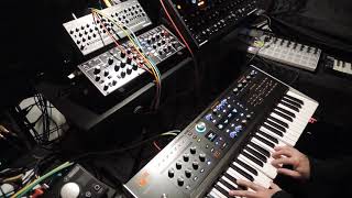 ASM Hydrasynth - L'aftertouch polifonico